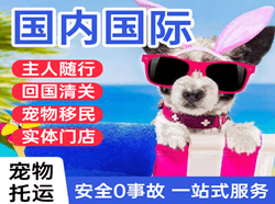王村机场物流国际宠物托运 【国